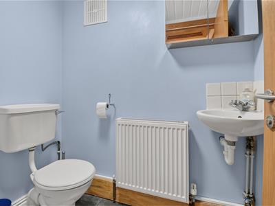 Picture 7